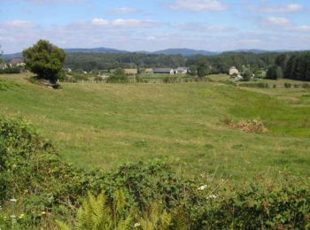 Randonnée Marche Rosiers-d'Égletons - Verrières, au pied du Puy Chaumont - Rosiers d'Égletons - Pays d'Égletons - Photo