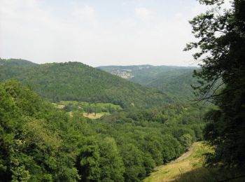 Trail Mountain bike Saint-Hilaire-Peyroux - Des vergers aux berges de la Corrèze - Saint Hilaire Peyroux - Pays de Tulle  - Photo