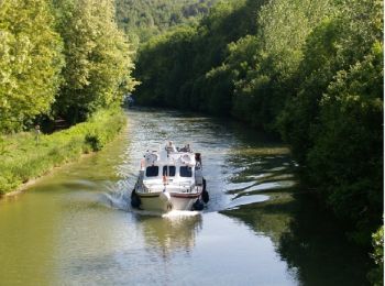 Randonnée V.T.T. Dieue-sur-Meuse - Les hauts de Meuse - Dieue-sur-Meuse - Photo