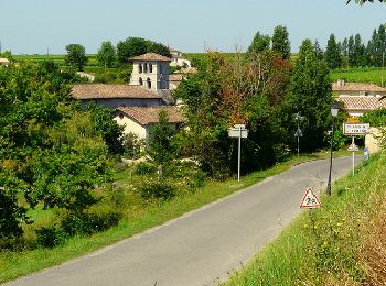 Tour Wandern Saint-Aubin-de-Branne - Circuit du tour de Saint Aubin de Branne - Photo