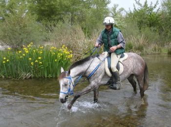 Trail Equestrian Gréoux-les-Bains - Parcours du Lac - Gréoux les Bains - Photo