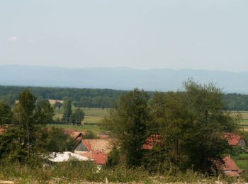 Trail Walking Réchésy - Circuit de Réchésy  - Photo