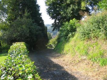 Tocht Stappen Rougnac - Circuit des lavoirs - Rougnac - Photo