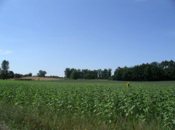 Tocht Mountainbike Ambrus - Ambrus, promenade vers le vignoble de Padère - Pays de la vallée du Lot  - Photo