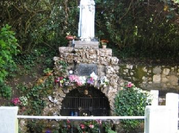 Percorso Cavallo Ambrus - Ambrus, la balade forestière de Pelane - Pays de la vallée du Lot  - Photo