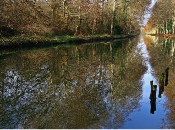 Trail Walking Monheurt - Monheurt, balade entre Garonne et Canal  - Pays de la vallée du Lot  - Photo