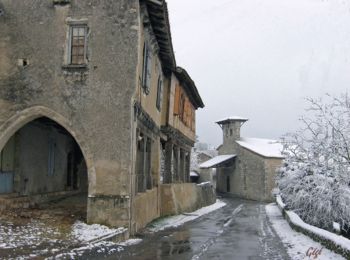 Excursión Caballo Saint-Antoine-de-Ficalba - Saint Antoine de Ficalba, un cheminement vers Doumillac et Cambes - Pays de la vallée du Lot  - Photo