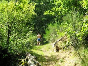 Trail Walking Lapleau - Le site de Lestrange - Lapleau - Pays d'Egletons - Photo