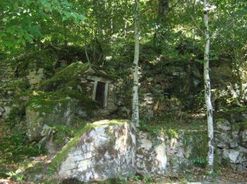 Excursión Senderismo Le Jardin - Sur les chemins de Marcouyeux - Le Jardin - Pays d'Egletons  - Photo