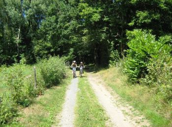 Tocht Mountainbike Vignols - Le Bert - Vignols - Pays Vézère Auvézère - Photo