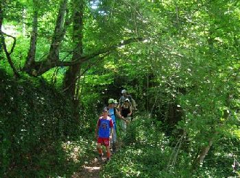 Tocht Mountainbike Saint-Solve - Les crêtes - Saint Solve - Pays Vézère Auvézère  - Photo