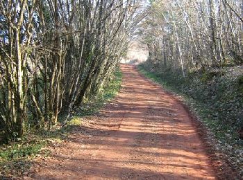 Percorso Mountainbike Saint-Merd-les-Oussines - L'Étang du Diable - Saint Merd les Oussines - Pays de Haute Corrèze - Photo