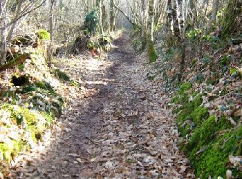 Tour Wandern Saint-Pardoux-le-Vieux - Chemins de traverse 10km - Saint Pardoux le Vieux - Pays de Haute Corrèze  - Photo