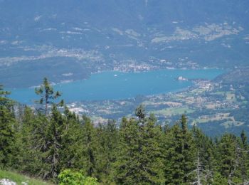 Trail Cycle Annecy - Le tour du lac d'Annecy - Photo