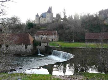 Tocht Stappen Savignac-Lédrier - Sentier Les Bruyères du Puy des Ages à Savignac-Lédrier - Photo