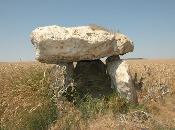 Randonnée Vélo Nogent-sur-Seine - De menhirs en château - Nogent sur Seine - Photo