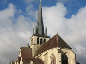 Tocht Fiets Mussy-sur-Seine - Le circuit du Roi des Vins - Mussy sur Seine - Photo