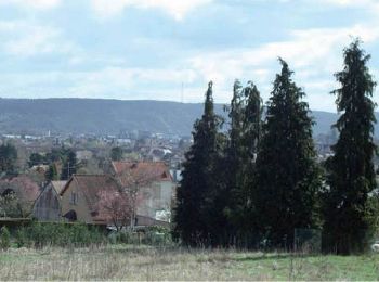 Tocht Stappen Vernon - Les coteaux de Bizy - Vernon - Photo