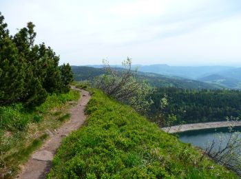 Tour Wandern Urbeis - Le Tour du Lac Blanc par le Rocher Hans et le sentier de crête - Photo