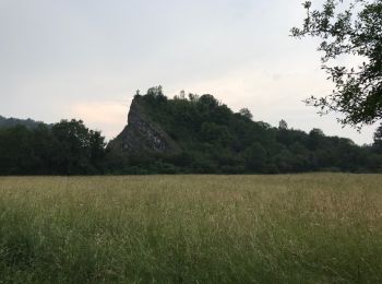 Randonnée Marche Givet - Givet landrichamps 22 km - Photo