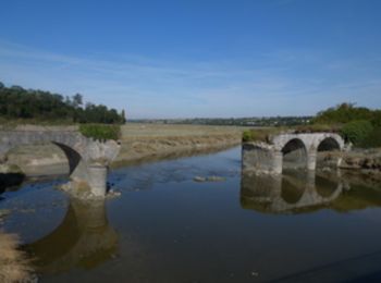 Percorso Marcia Lessay - Les chemins de Saint Michel - Lessay - Granville - Photo