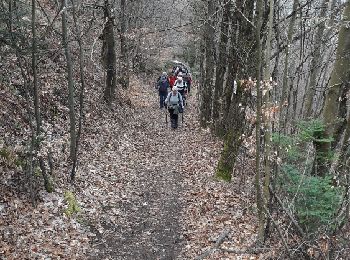 Trail Walking Saint-Amarin - 19.03.27.Samarie.Geishouse - Photo