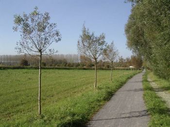 Randonnée Vélo Orchies - La voie verte de la plaine de la Scarpe - Orchies à Fenain - Photo