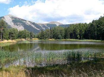 Randonnée Marche Bayons - Le lac de Monges - Esparron la Batie  - Photo