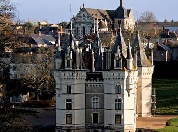 Randonnée Marche Chemillé-en-Anjou - Sentier des coteaux - Chanzeaux  - Photo