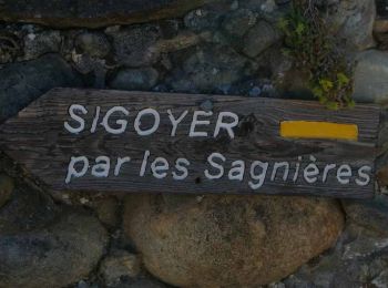 Excursión Senderismo Thèze - La tournée des chênes - Thèze - Photo