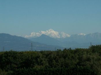 Tocht Fiets Versonnex - Les jardins de l'Europe n°11 - Versonnex - Photo