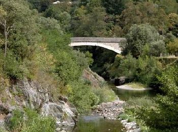 Randonnée Marche Saumane - Sentier du Pont des Chèvres - Saumane - Photo