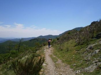Trail Walking Les Plantiers - Sentier du Mouflon - Les Plantiers  - Photo