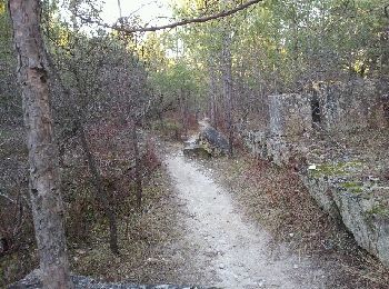 Trail Walking Bollène - 2012-02-18 17h41m11 - Photo