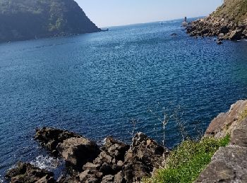 Tour Wandern Pasaia - le batier à la sauce Basque du phiphidechagny  - Photo