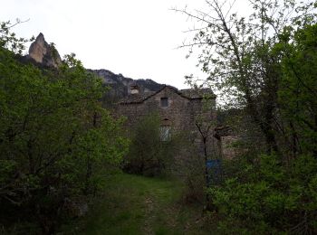 Tour Wandern Le Rozier - Le Rozier - Caplac - Ermitage St Pons - Plaisance - Photo