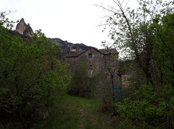 Excursión Senderismo Le Rozier - Le Rozier - Caplac - Ermitage St Pons - Plaisance - Photo