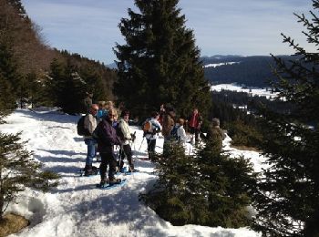 Tour Schneeschuhwandern Bois-d'Amont - Raquettes 12 mars 2012 - Photo