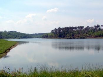 Excursión Bici de montaña Sigalens - VTT de Sigalens à Grignols - Photo