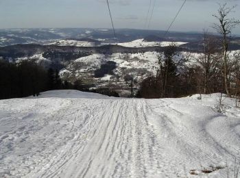 Tour Wandern Büssing - La Tête de la Bouloie - Bussang - Photo