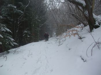 Randonnée Raquettes à neige Saint-Victor-la-Rivière - Saint Victor La Rivière, Courbanges, Le Verdier - Photo