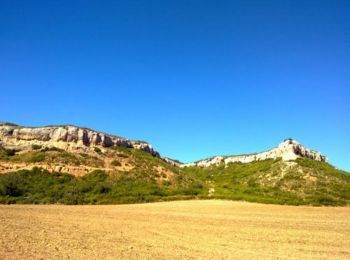 Tour Mountainbike Rognac - VTT au plateau de Vitrolles - Photo