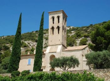 Excursión Bicicleta Beaumes-de-Venise - Circuit Vélo - Paysages des Côtes du Rhône - Beaumes de Venise - Photo