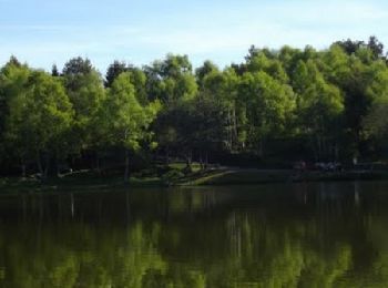 Percorso Marcia Gelles - Etang de Banson - Gelles - Photo