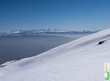 Tour Schneeschuhwandern Confort - Le Crêt de la Goutte, Grand Crêt d'Eau - Photo