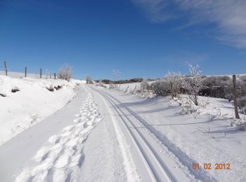 Trail Snowshoes Lacaune - Boucle du Bel Vespré - Lacaune - Photo