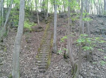 Tocht Stappen Ars-sur-Moselle - tour du fort driant - Photo