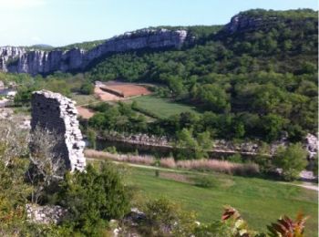 Excursión Senderismo Berrias-et-Casteljau - bourins - Photo