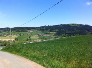 Tocht Mountainbike Belleroche - Marche de Belleroche - Photo