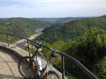 Tour Mountainbike Chambles - VTT Chambles - St Maurice en Gourgois - Photo